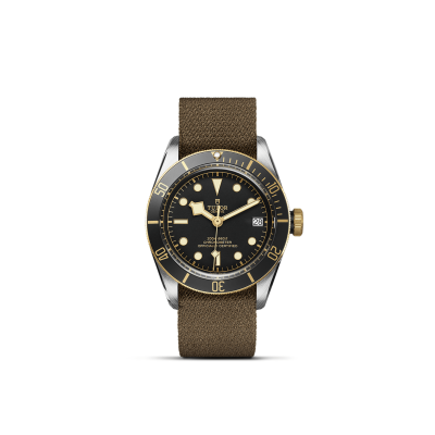 Tudor / Black Bay