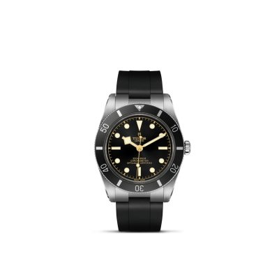 Tudor / Black Bay 54